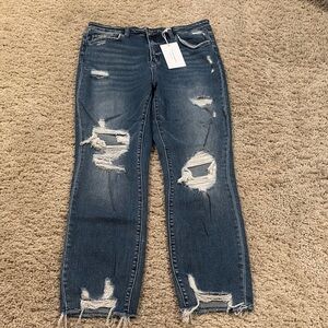 Flying Monkey Straight Cropped Distressed Jeans (31)